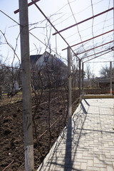 Fototapeta premium Sunlight hitting a paved backyard path next to a tilled garden plot with metal supports for climbing plants in a rural setting