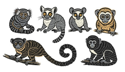 Colorful vector illustration of diverse lemur species in playful poses © colorshapppy