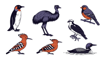 Vector illustration of various colorful birds in different poses © colorshapppy