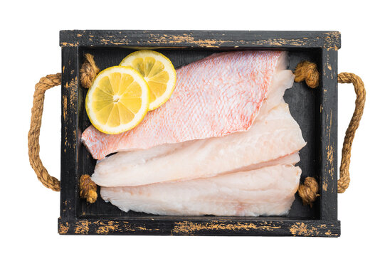 Raw redfish fillet isolated on white background. Fresh marine seafood ingredient for cooking.