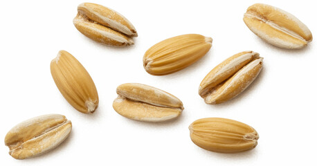 Obraz premium Wheat Grains on White Background seeds cereal beige