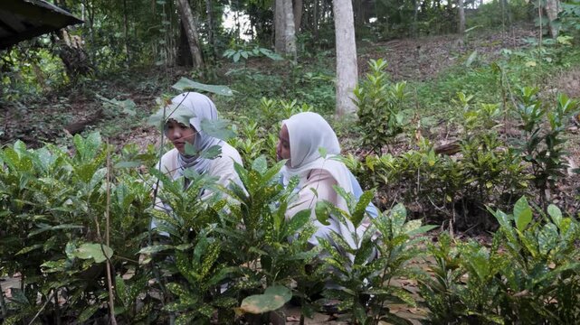 Two young Asian Muslim girls observing plants and trees in a forest park, chatting and enjoying nature together on a sunny morning