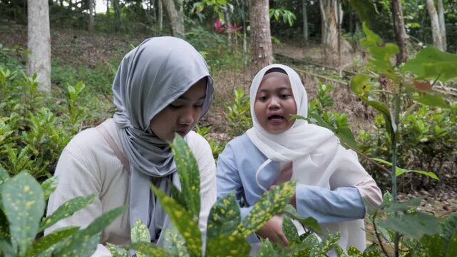 Two young Asian Muslim girls observing plants and trees in a forest park, chatting and enjoying nature together on a sunny morning