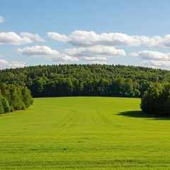 Naklejka premium Rolling green hills extend to a wide open field bordered by a dense line of lush forest trees under a bright summer sky, trees, natural, peaceful