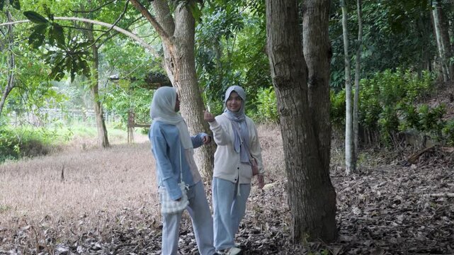 Two young Asian Muslim girls observing plants and trees in a forest park, chatting and enjoying nature together on a sunny morning
