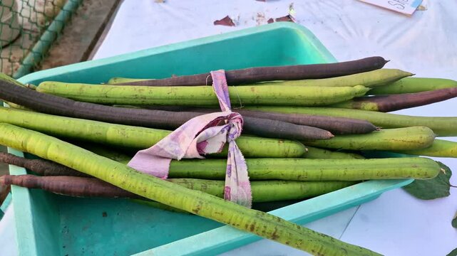 Bundle of long green drumsticks (moringa pods, Moringa oleifera) and dark mature pods placed in a tray, tied together with cloth at a garden produce display.