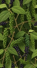 Close-up of a Black Pepper Plant with Green and Ripe Berries.