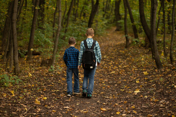 Obraz premium Two boys walking on a forest path in autumn, wearing casual clothes and backpacks, surrounded by trees and fallen leaves.