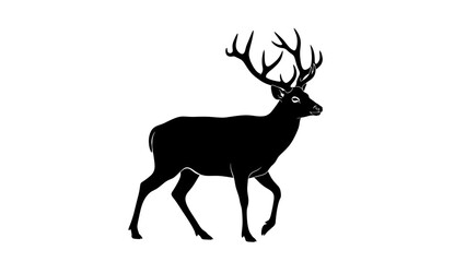 Obraz premium Silhouette of a deer with large antlers walking