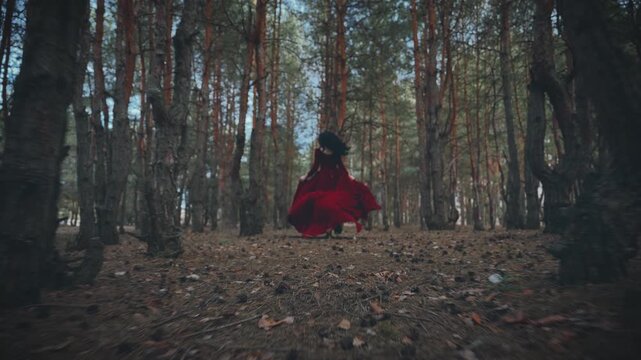 Fairy tale Gothic scared girl running away in dark forest pine trees, red long medieval old style dress train fly wind slow motion. Fantasy Woman walking. Black hair back rear view victorian princess.