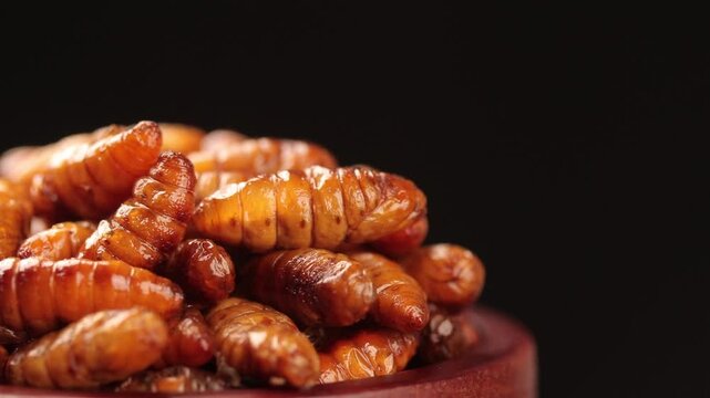Close-up of fried silkworm pupae in a wooden bowl rotating slowly on a black background with copy space for text
