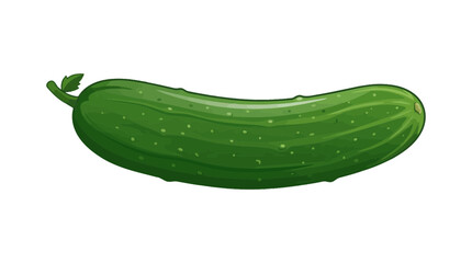 vector of a cucumber isolated on white background