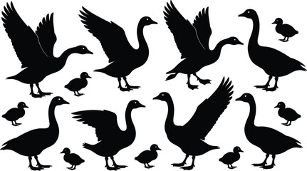Black silhouette collection of wild geese and small goslings in various flying and standing poses isolated on white background for nature wildlife vector design © MstRupali