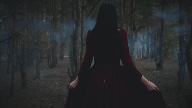 Fairy tale Gothic scared girl walking in dark foggy forest trees, fantastic velvet red long medieval victorian old style dress slow motion. Fantasy Woman walking. Black hair back rear view princess.