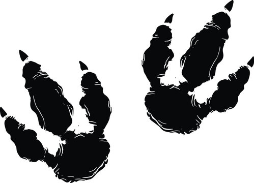 Black Silhouette of Prehistoric Tyrannosaurus Rex Dinosaur Footprints with Sharp Claws Isolated on White Background for Paleontology Concept and Ancient Wildlife Vector Design