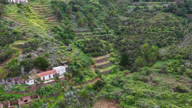 Aerial View Green Terraces Palm Trees Tamargada Agulo La Gomera