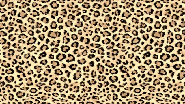 Luxury Cheetah Motion Graphic, Seamless Moving Pattern, Wild Cat Aesthetic Video