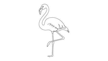 Graceful Flamingo Sketch: A delicate line drawing of a flamingo standing gracefully, capturing the elegant pose of the long-legged bird. © Murshida