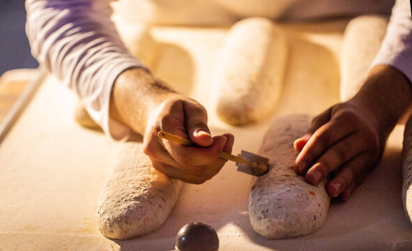 Baker hands scoring bread dough loaves with razor tool on floured surface, preparing for baking in bakery or factory, close up view of artisan production of bakery products