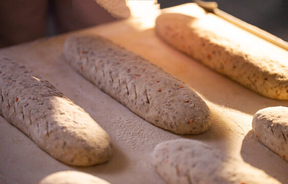 Freshly prepared artisanal bread loaves dough waiting for baking process on floured surface in bread factory production plant