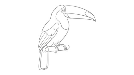 Fototapeta premium Outlined Toucan Silhouette: A detailed outline of a vibrant toucan perched on a branch, showcasing its distinctive oversized beak and elegant posture.