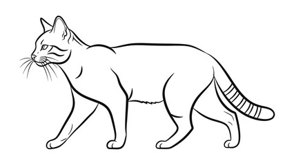 Obraz premium Contour Cat: A sleek contour drawing of a walking feline, capturing its graceful form and elegant pose.