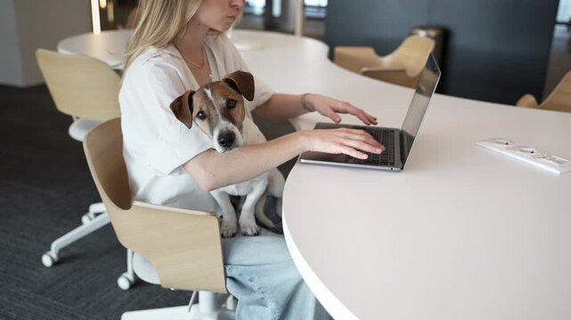 Adorable dog Jack Russell terrier looking at camera sitting on lap of woman working with laptop. Owner girl using laptop. working in pet friendly coworking. video footage. pet parent lifestyle
