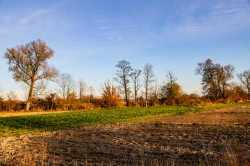 Obraz premium A late autumn landscape with golden light illuminating the fields and autumn trees. Świętokrzyskie Voivodeship, Poland