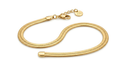 Gold Plated Snake Chain Bracelet with Lobster Clasp and Charm