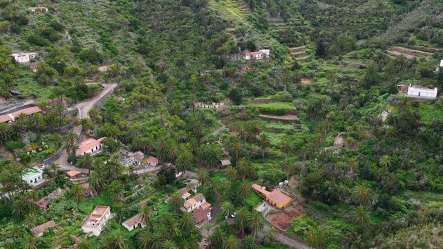Aerial View Green Terraces Palm Trees Tamargada Agulo La Gomera