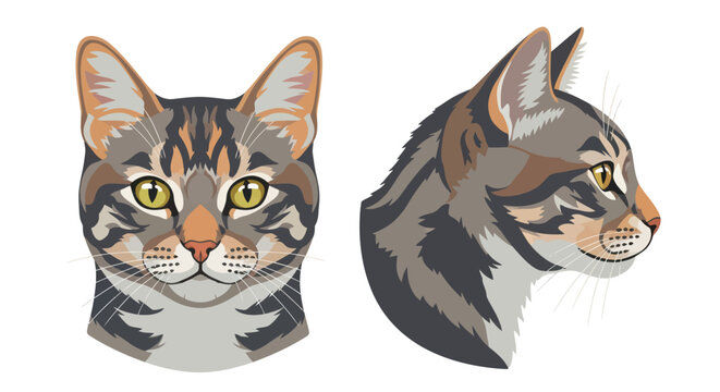 Digital Illustration of Cat Heads Feline Portrait.