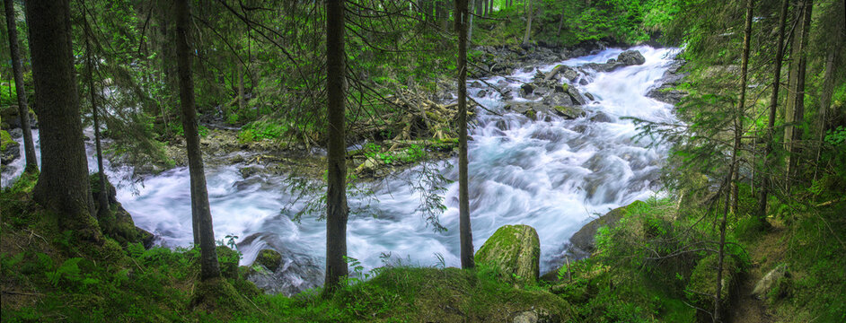 Waldbach in Naturlandschaft, &Ouml;sterreich, Panorama 