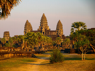 Naklejka premium Ancient Angkor Wat temple entrance with sugar palm trees in warm golden hour sunlight, Siem Reap, Cambodia