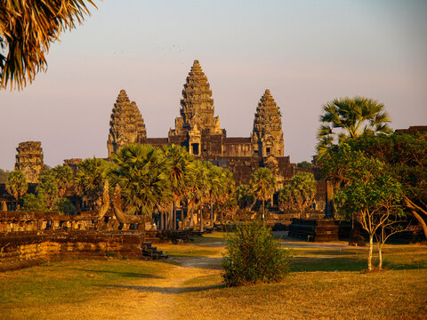 Ancient Angkor Wat temple entrance with sugar palm trees in warm golden hour sunlight, Siem Reap, Cambodia