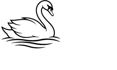 Fototapeta premium Elegant swan gracefully gliding on serene water waves