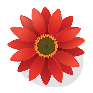 Vibrant red flower illustration on a white background
