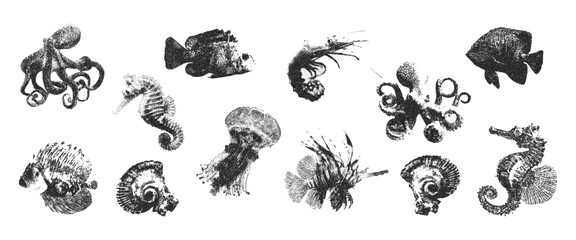 Plakat Retro ocean elements with a photocopy effect for creating collages. Sea fish and seashell with grunge punk gritty texture. Stipple effect vector illustration in a grayscale dot design of punk.