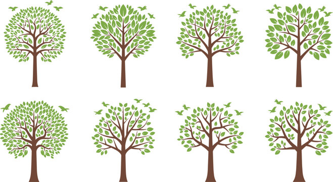 Collection of green leafy trees with brown trunks and flying birds silhouettes isolated on white background for nature environment ecology and conservation vector