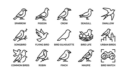 Naklejka premium Icon set of various birds including sparrow, pigeon, crow, and more