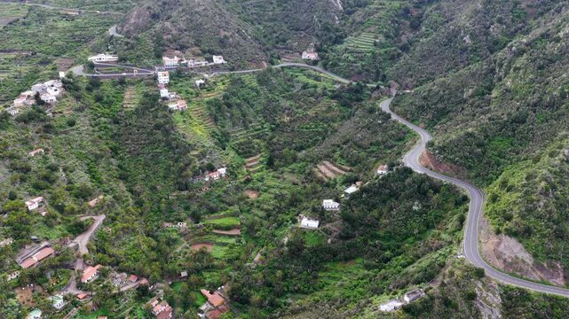 Aerial View Green Terraces Palm Trees Tamargada Agulo La Gomera