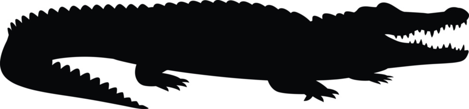 Crocodile silhouette reptile predator animal vector illustration isolated wildlife alligator style black design graphic set