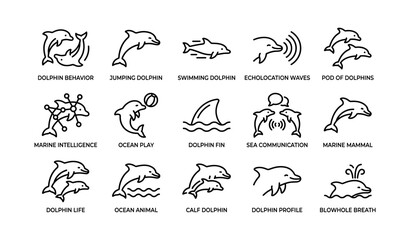 Obraz premium Diverse dolphin behaviors and communication patterns illustrated