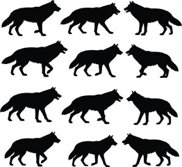 Collection of wolf silhouettes showing walking and standing poses, animal posture variations for wildlife design, animation, and illustration reference