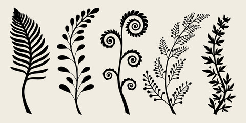Stylized botanical illustration featuring various fern and leaf designs © Biplab