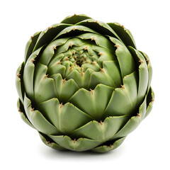 Obraz premium Fresh Green Artichoke Bulb Vegetable for Healthy Mediterranean Cuisine and Diet