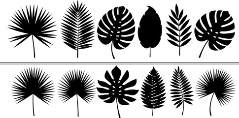 Tropical leaves silhouette collection for graphic design, nature and summer themes. Monochrome foliage vector illustration with exotic leaf shapes.eps © arraygraphic1