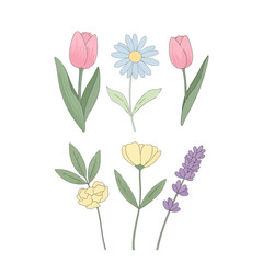 Obraz premium A beautiful vector illustration featuring a diverse collection of colorful blooming spring flowers and botanical elements.