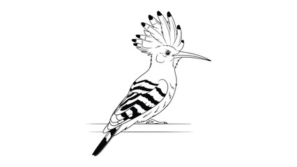 Elegant Hoopoe on Perch: A delicate and detailed illustration of an elegant hoopoe bird, showcasing its distinctive crest, patterned wings, and long, curved beak. © Murshida