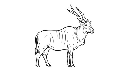 Eland Sketch: A majestic eland, rendered in elegant line art, stands gracefully, its distinctive features captured with artistic precision. © Murshida