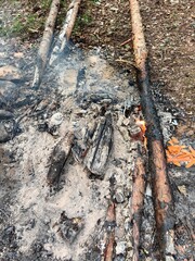 Fire with coals and firewood in nature.